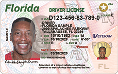 Front of Florida driver license